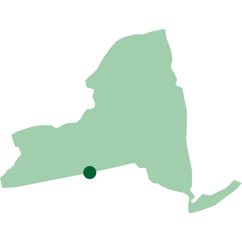 New York map image